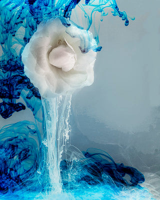 Submerged Series: Tangled Up in Blues