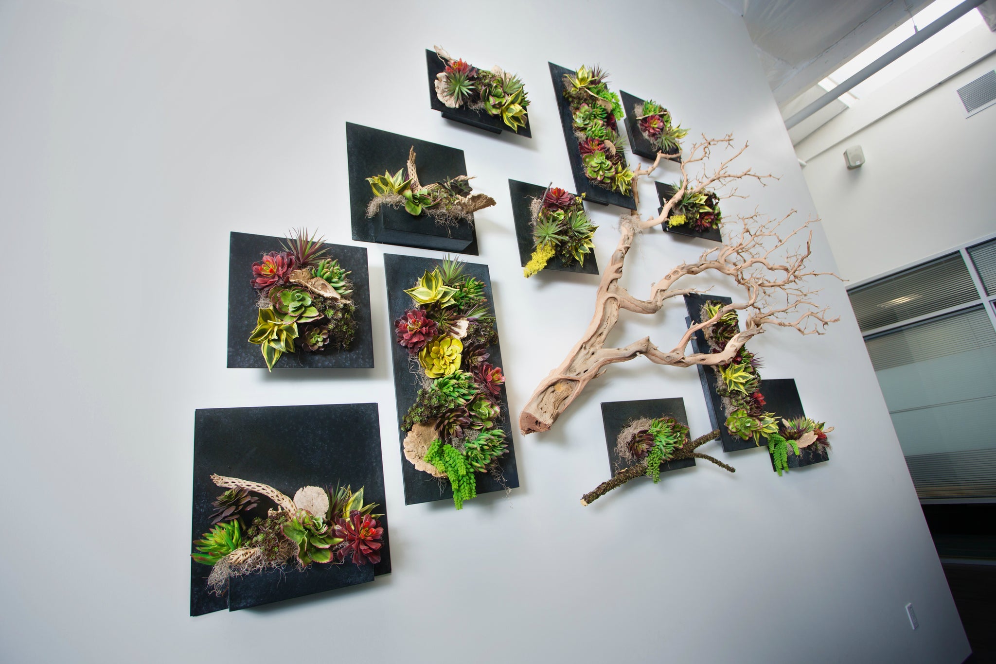 Interior Statements — Stems