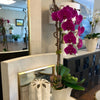Orchid plant design 1 stem, dry & faux props, ceramic container