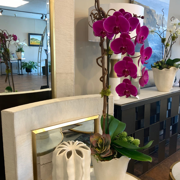 Orchid plant design 1 stem, dry & faux props, ceramic container